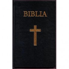 BIBLIA CB 053 HARD BACK VINIL, AURITA (mica)