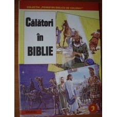 CALATORI IN BIBLIE